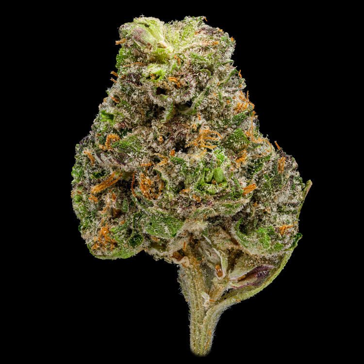 Secret Sauce Platinum Line