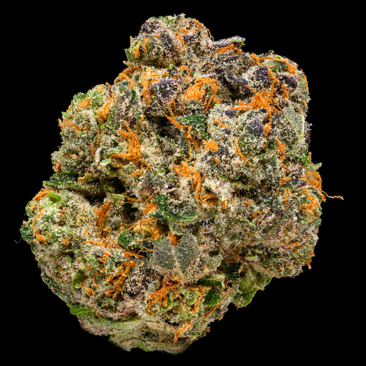 Mac Zorris Platinum Line