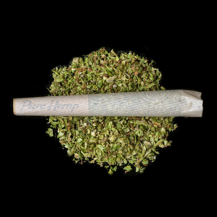 Citrus Swirl & Golden Jack YELLOW JACKETS Pre Roll