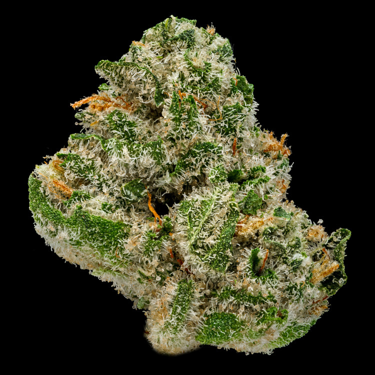 Monkey Business Platinum Line