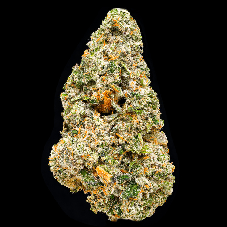 Sticky Ricky