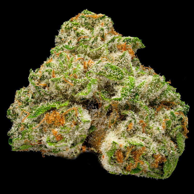 Mint Ice Cream Legacy Reserve Flower