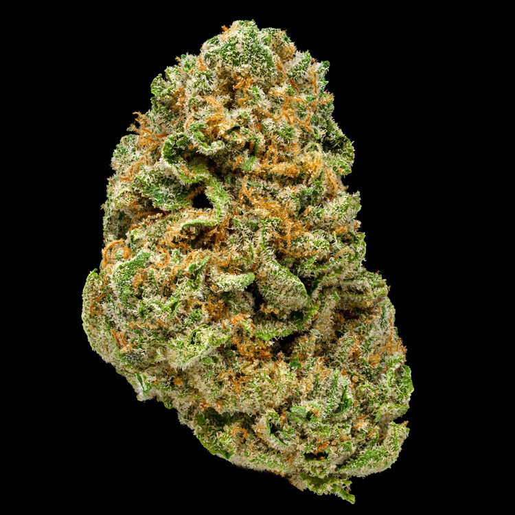 Rainbow Belt Signature Line