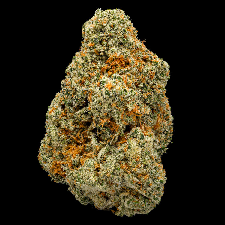 The Bear OG Signature Line