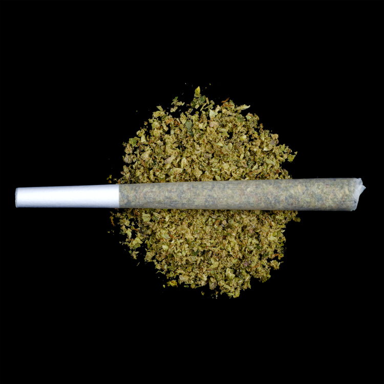 Willie's Wonder Pre Roll