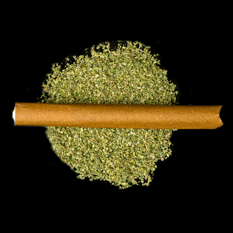 Black Widow Sluggerz Blunts