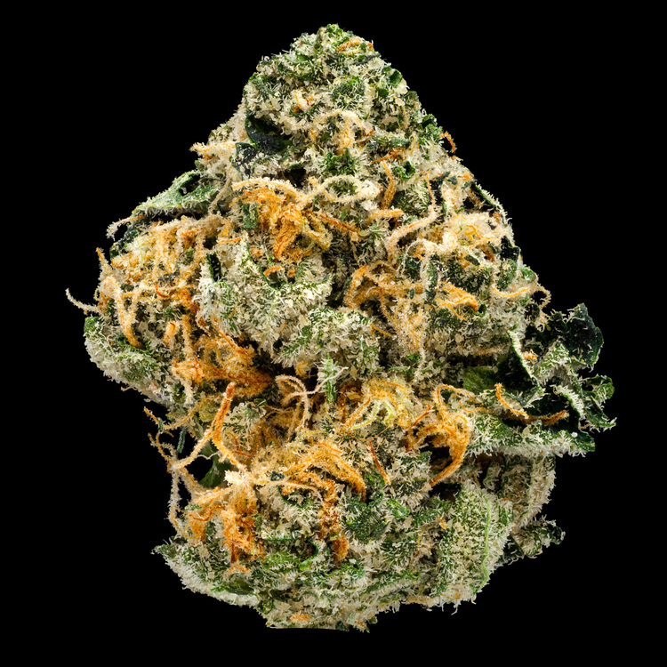 I-95 Cookies Signature Line