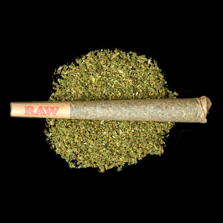 Gelato x Blue Dream Stars & Hash Infused Preroll