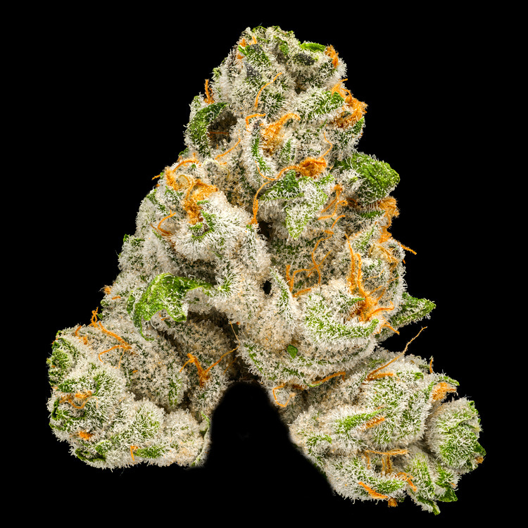 MAC Stomper Platinum Line