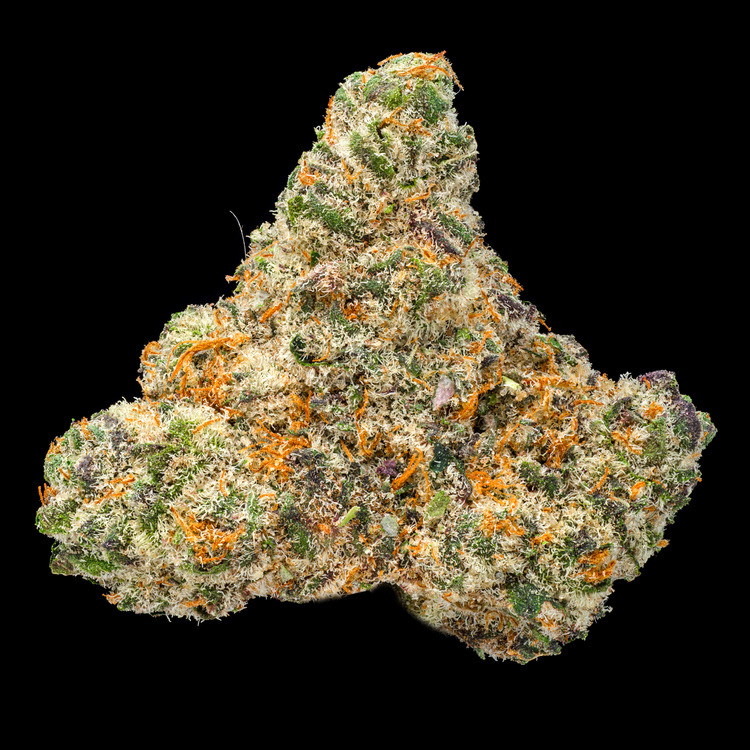 Gary Payton Small Buds