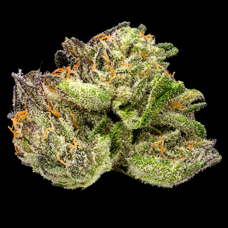 Grand Daddy Gelato