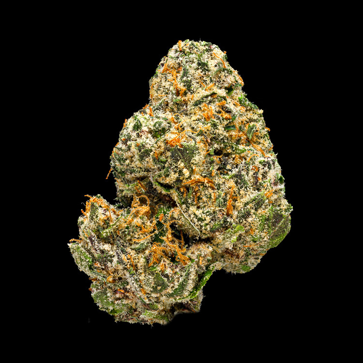 Ridgeline Lantz [Green House]