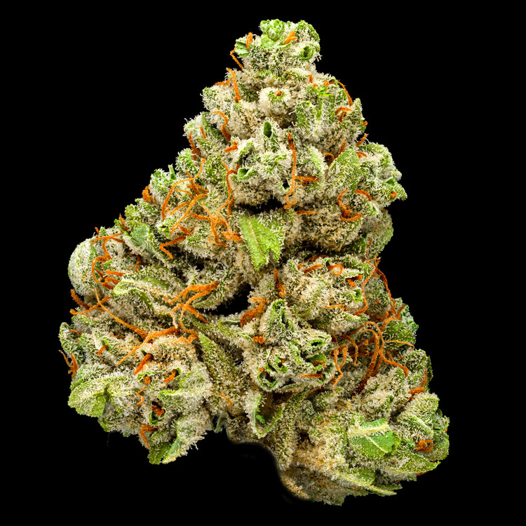 Durban Poison