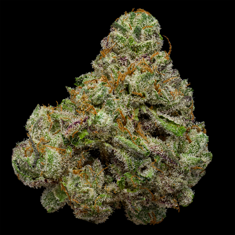 The Doggy Bagg {Green House} - 7g