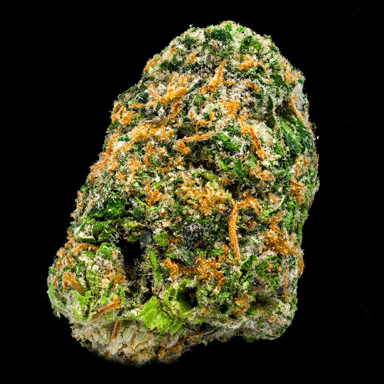 Zeaweed