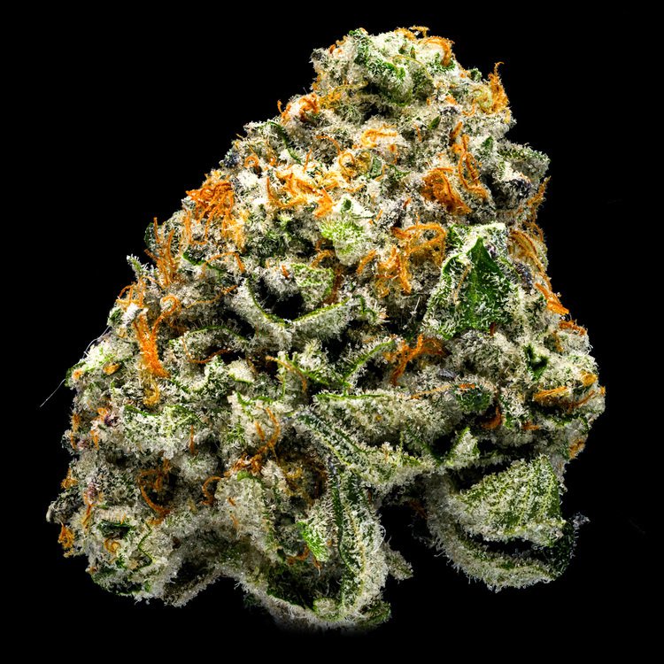 Malibu Marker [Luxury Line]