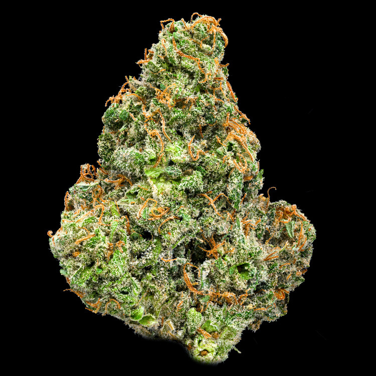 Super Silver Stardawg