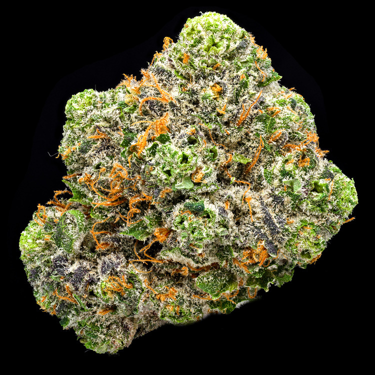 Rainbow Belts Platinum Line