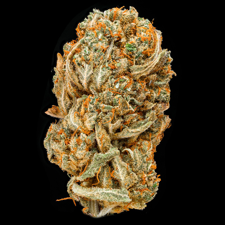 CBD 2:1 Huckleberry Web