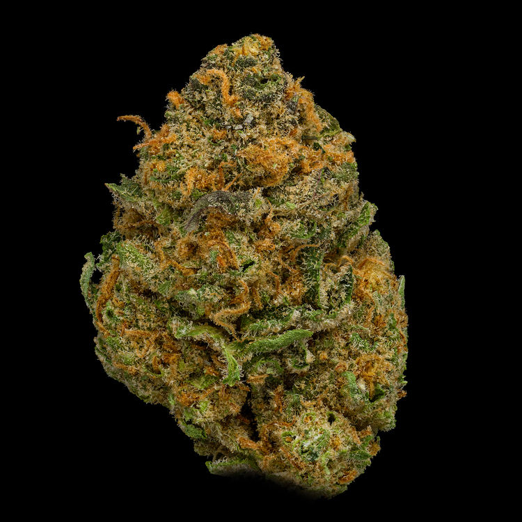 Forbidden Fruit