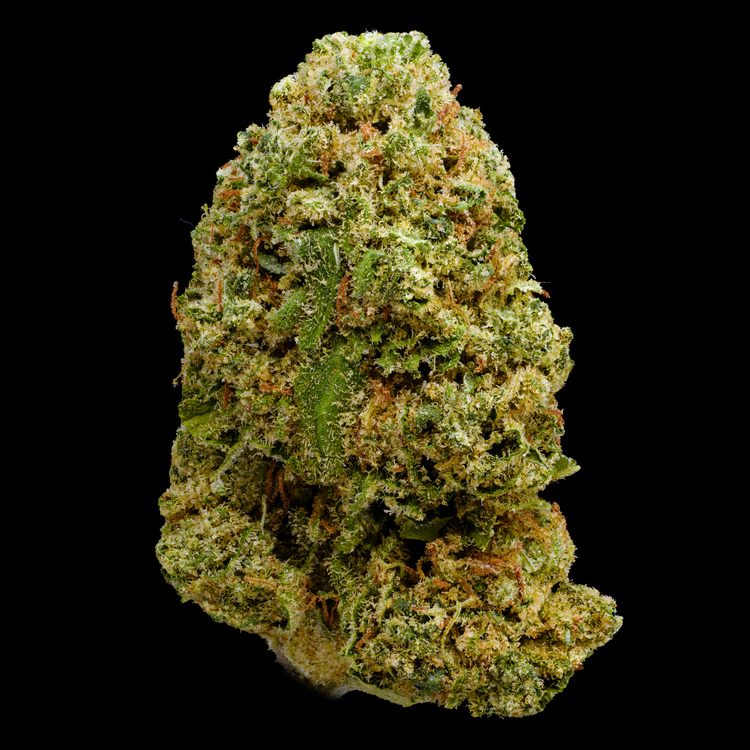 Beach Babe Platinum Line