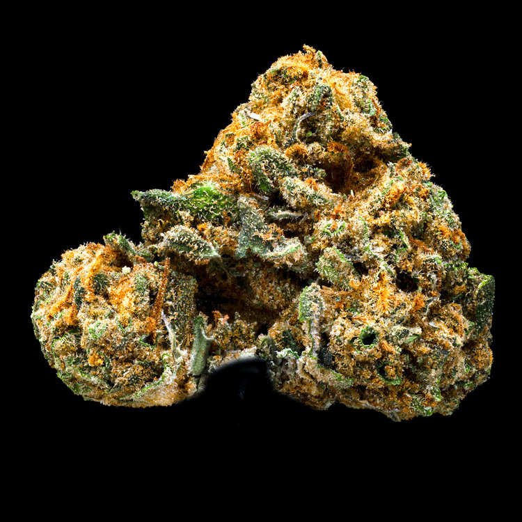 Hawaiian Dutch Treat