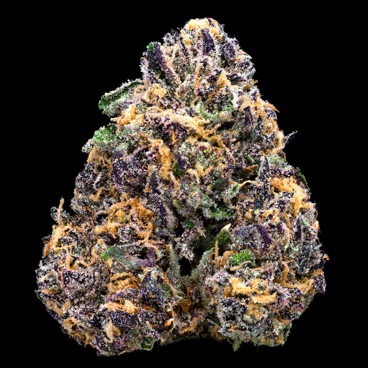 True Purple Berry 1
