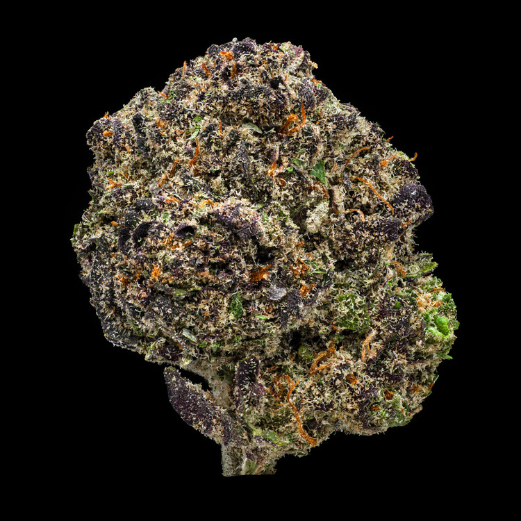 Gary MAC Signature Line