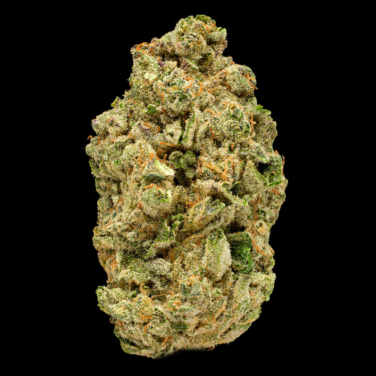 Mexican Flan Green House Buds