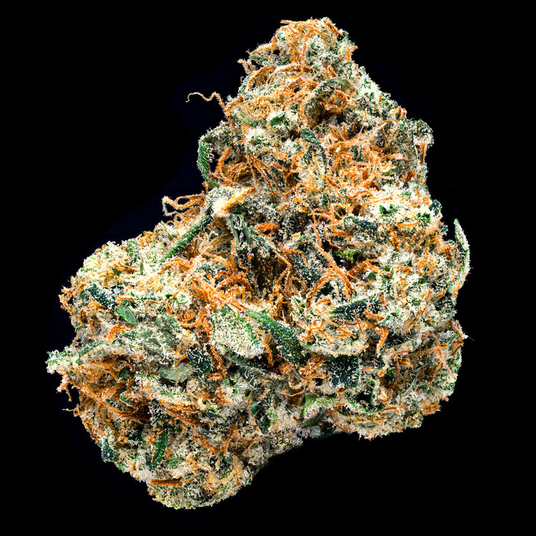 Lemon Skunk