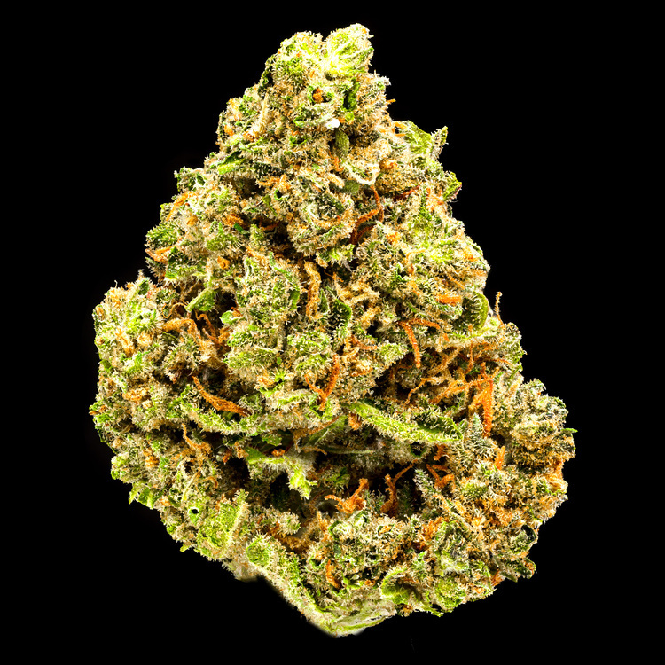 Inzane in the Membrane