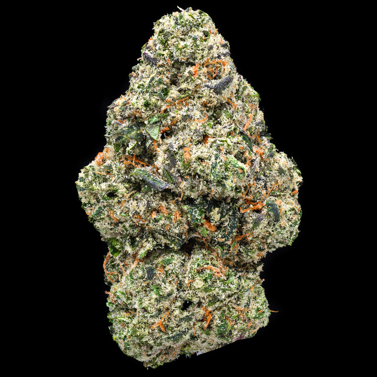 Mexican Flan Green House