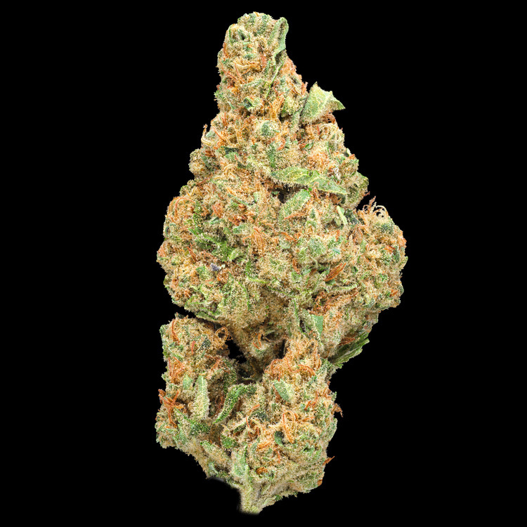 Doughp Platinum Line