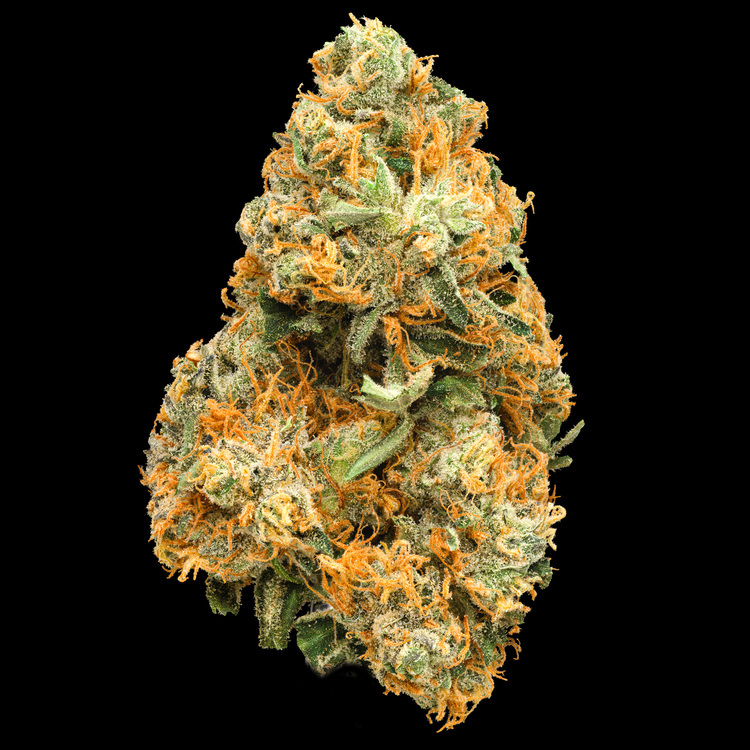 Dutch Cake Platinum Line