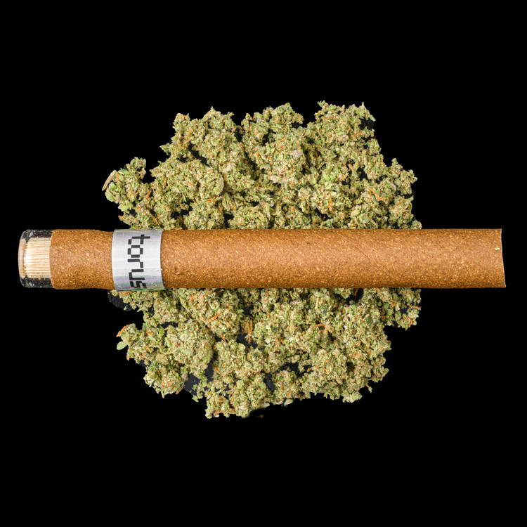 Lemon Heads x Frosted Gas Infused Glass Tip Blunt