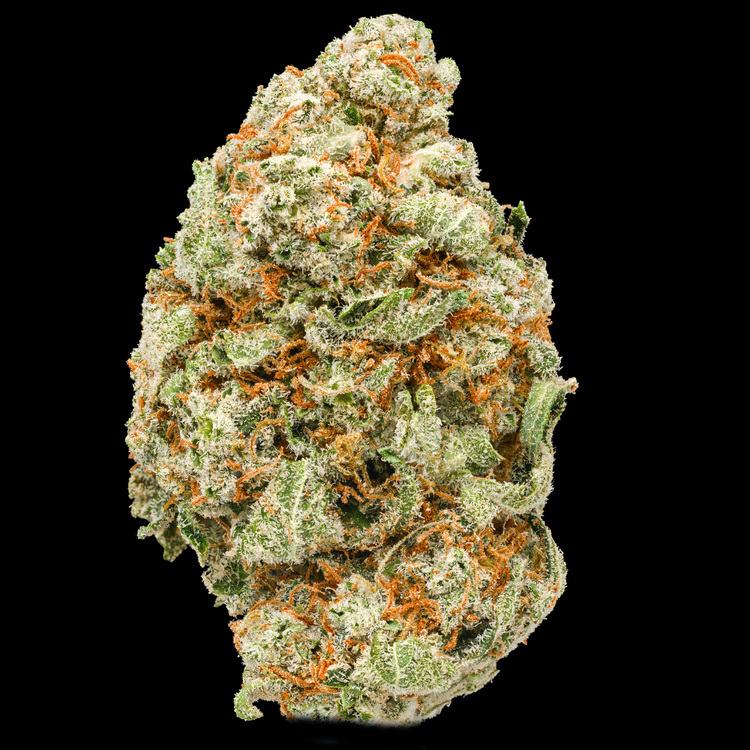 Blueberry Scone