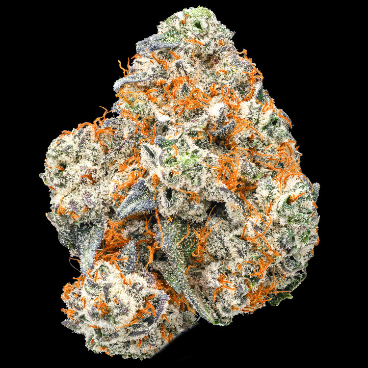 Raspberry Burger Platinum Line