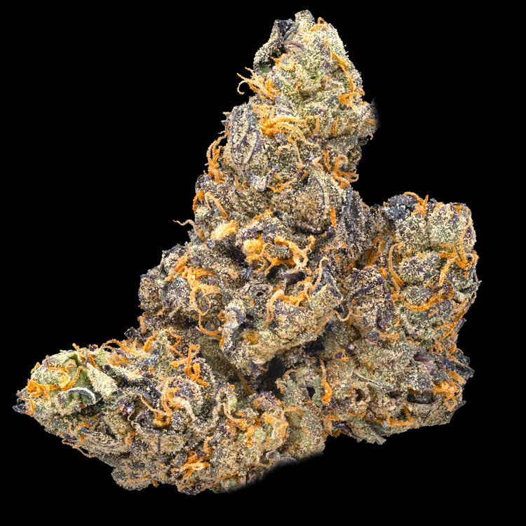 Gelato Sherbet