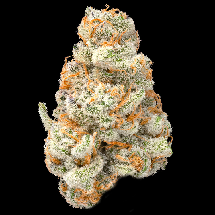 Blue Razzsicle x Dante's Wrath