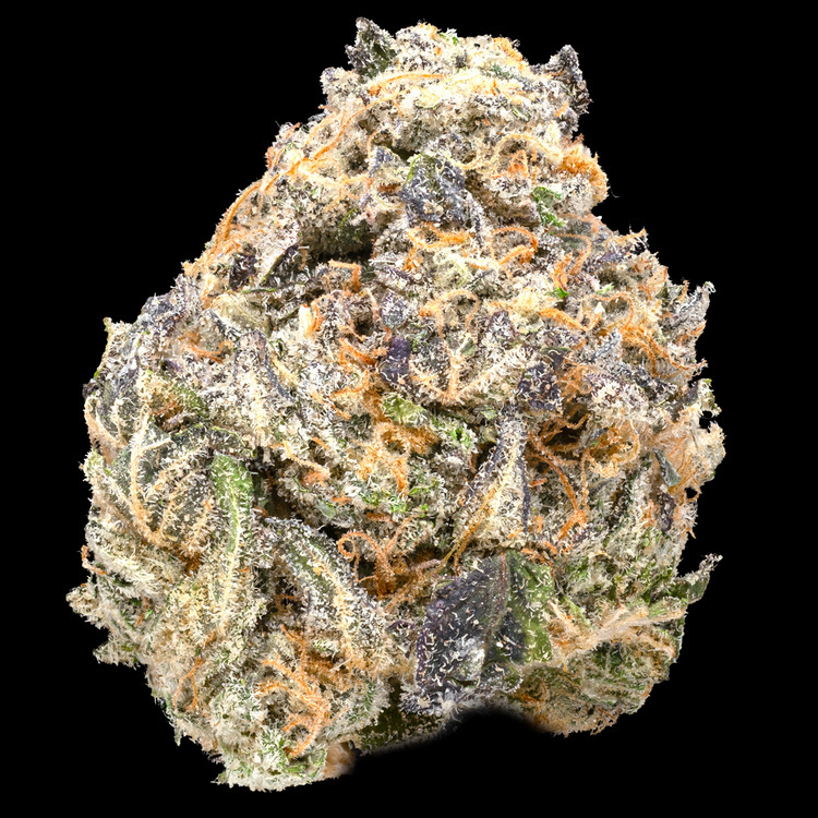 Gelato x Dosidos