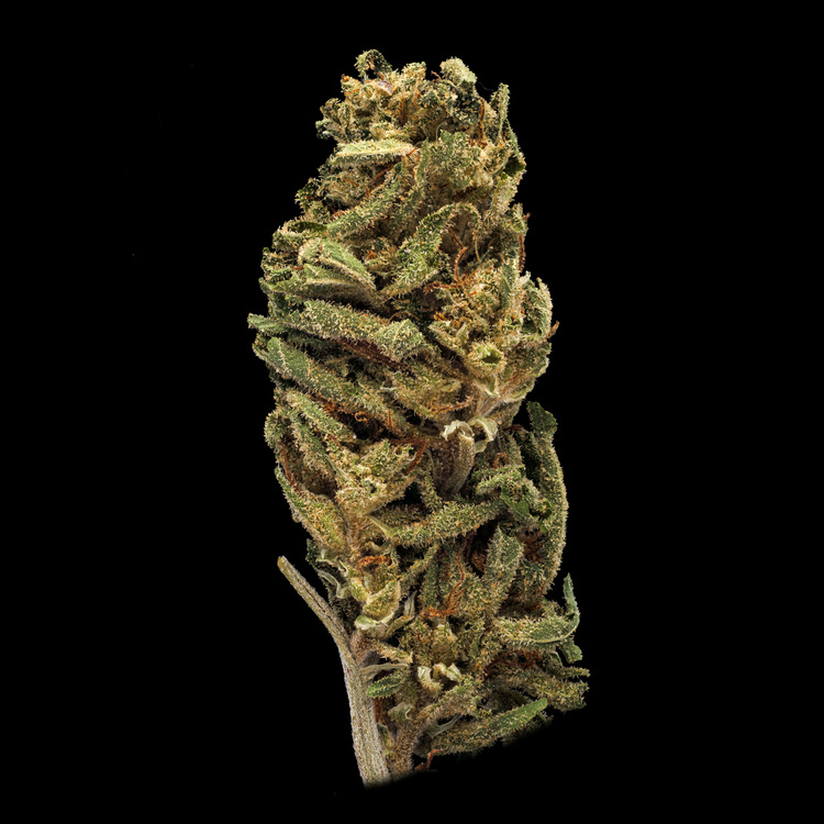 Pink Lemonade Bong Buddies