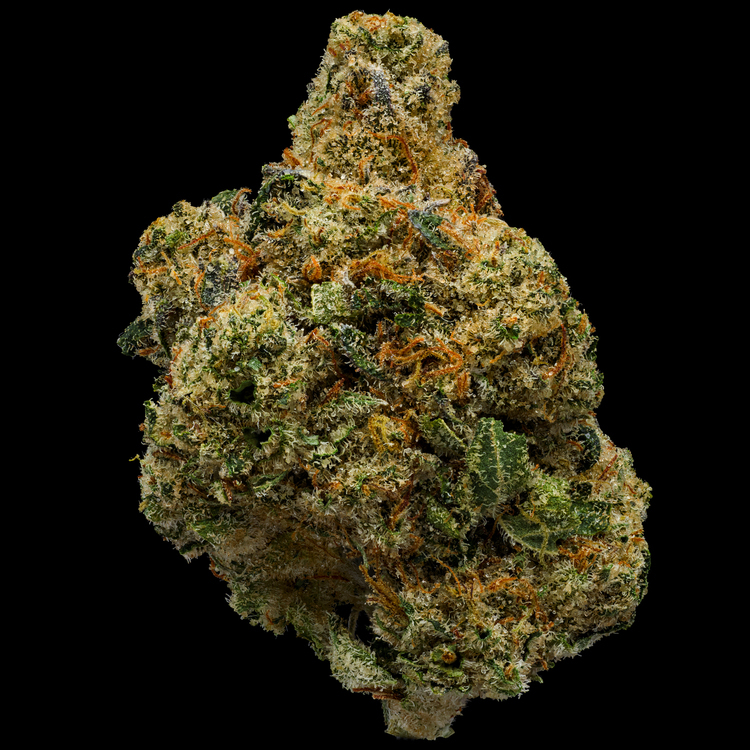 Beach Babe Platinum Line