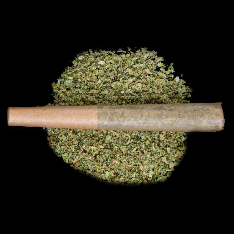 Gary Jealousy Pre Rolls