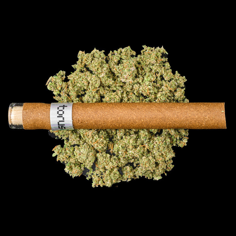 Ice Cream Cake Glass Tip Blunt