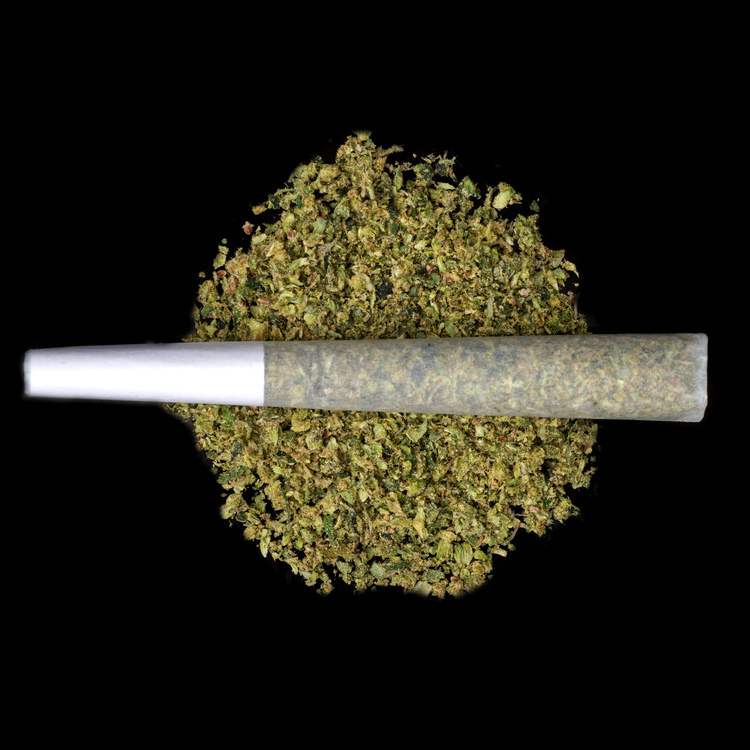 Apple Rain Pre Rolls