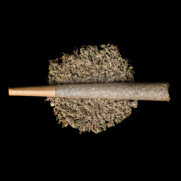 Blueberry Slushie Hashbreak Infused Prerolls