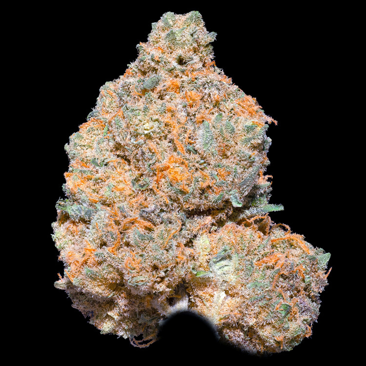 Orange Skunk