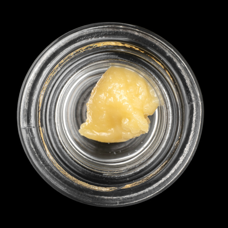 Blueberry Muffin Live Hash Rosin