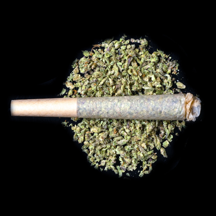 Black Dog Gelato Prerolls