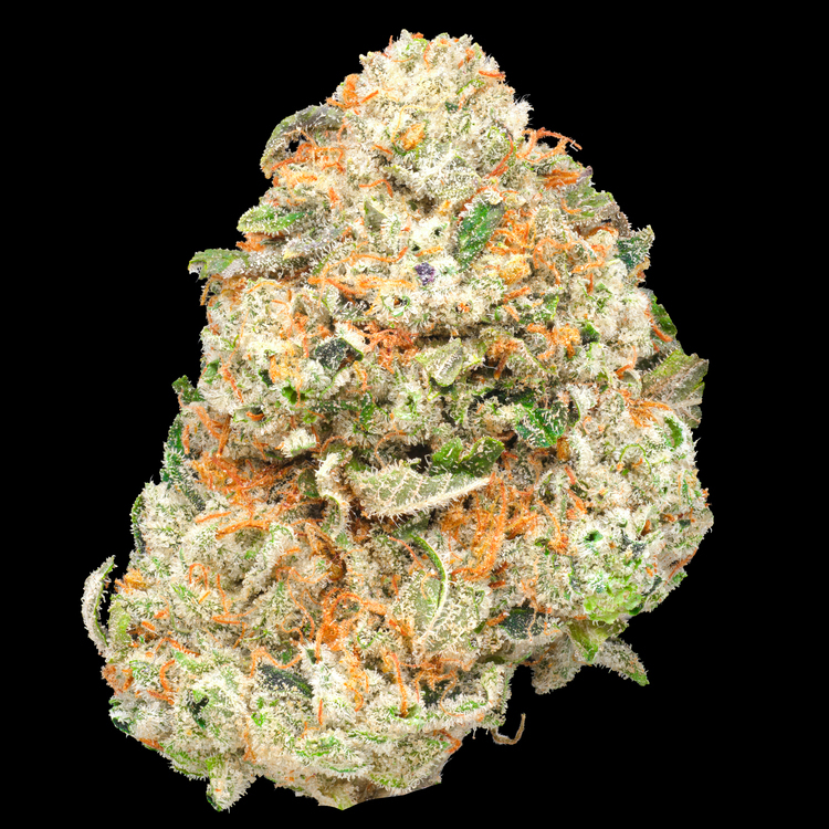 Motor Breath